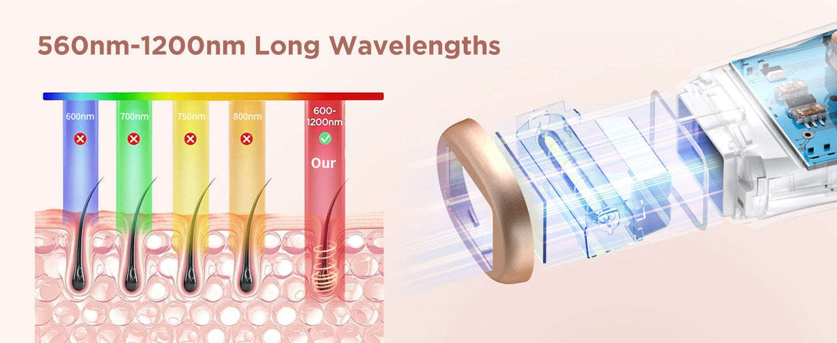 IPL Hair Removal Device with 999,900 Flashes for Full-Body Use-AI01D / US Plug / United States