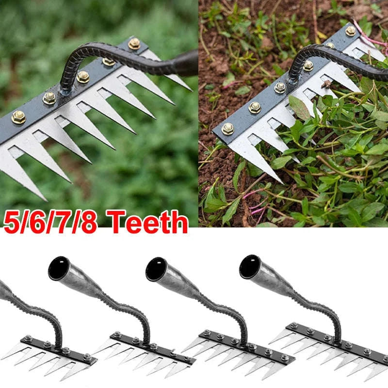 Iron Gardening Hoe Rake for Weeding and Soil Loosening-8 Teeth / CHINA