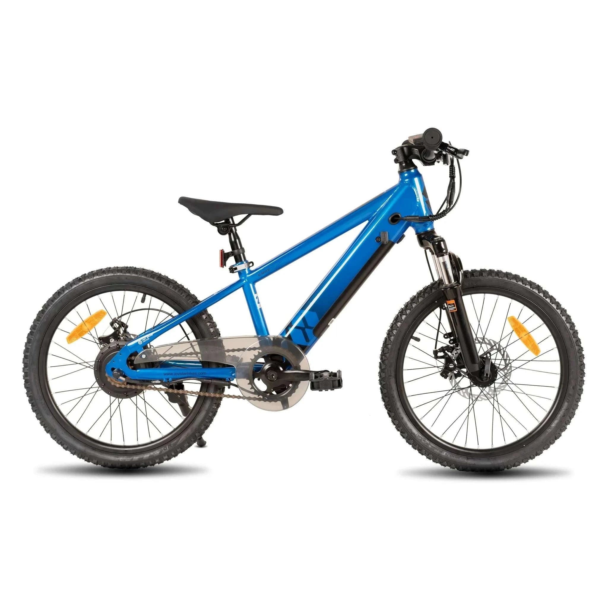 Kids Electric Bike 250W 15MPH 20" E-Bike for Ages 7+-Green / United States