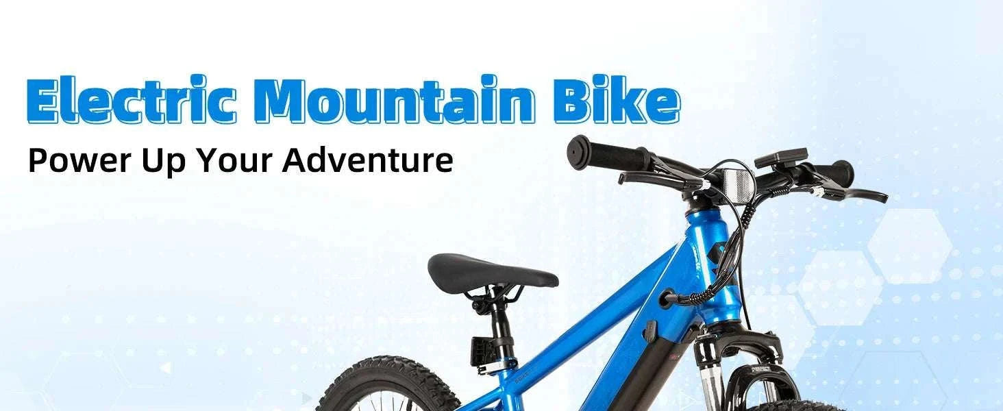 Kids Electric Bike 250W 15MPH 20" E-Bike for Ages 7+-Green / United States