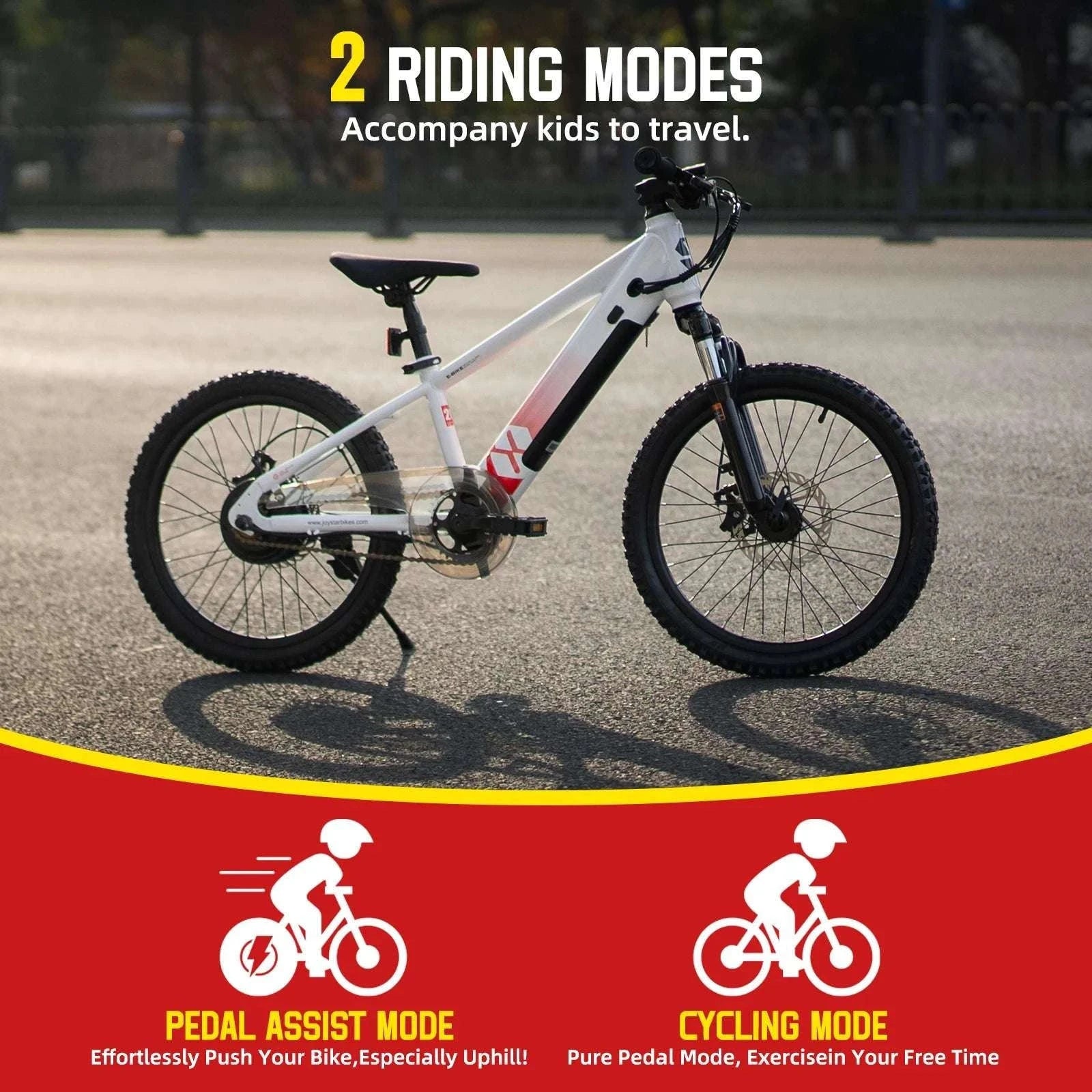 Kids Electric Bike 250W 15MPH 20" E-Bike for Ages 7+-Green / United States