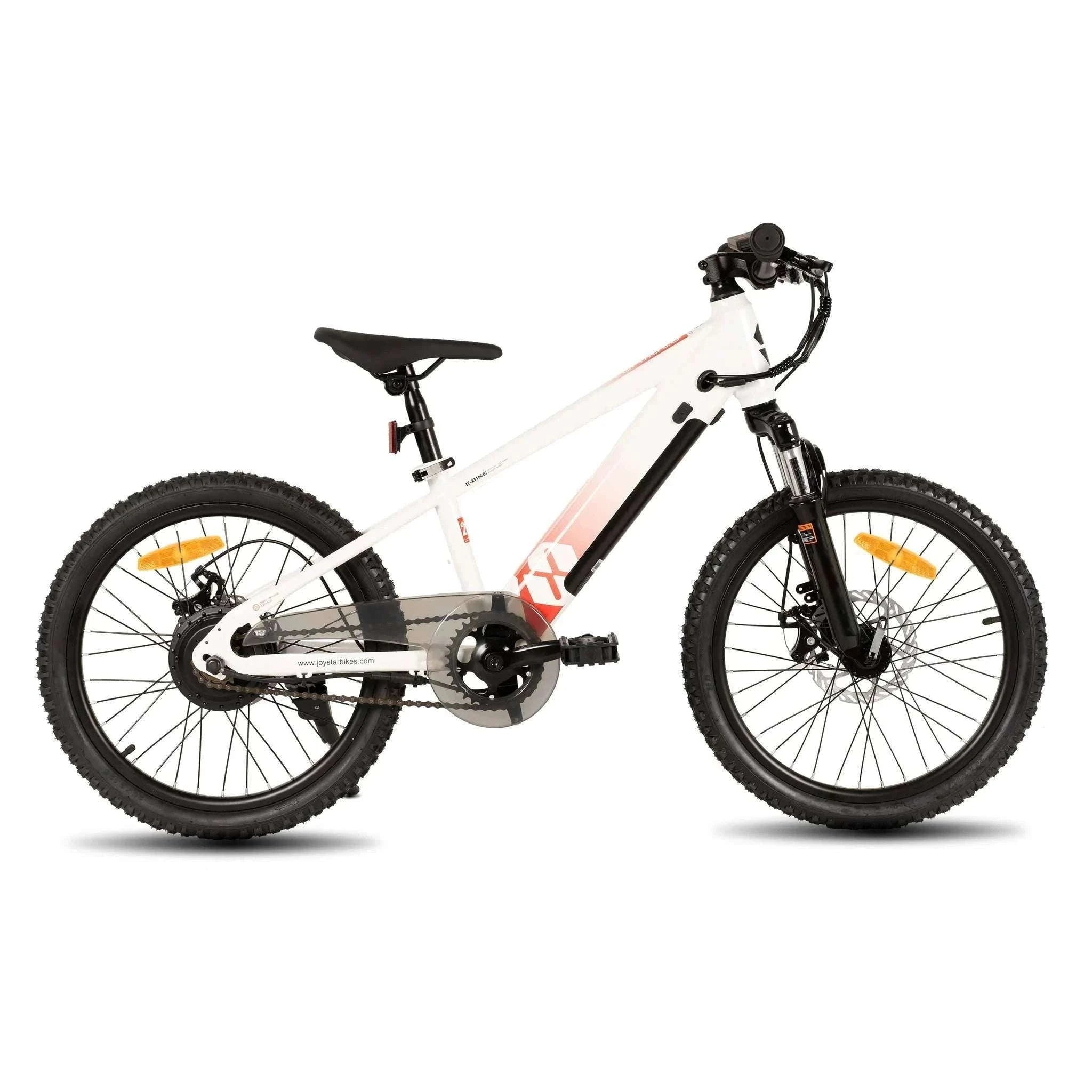 Kids Electric Bike 250W 15MPH 20" E-Bike for Ages 7+-Green / United States