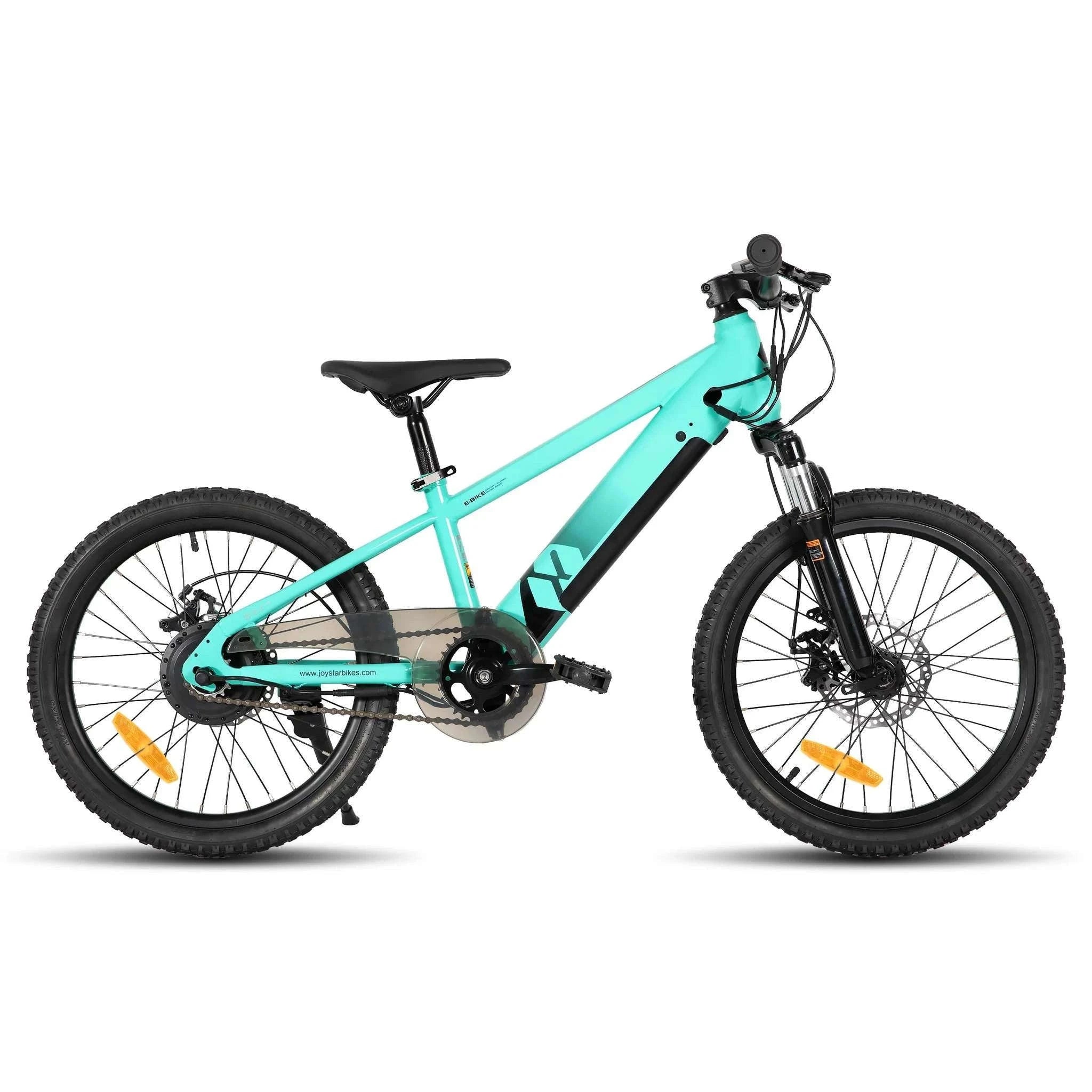 Kids Electric Bike 250W 15MPH 20" E-Bike for Ages 7+-Green / United States