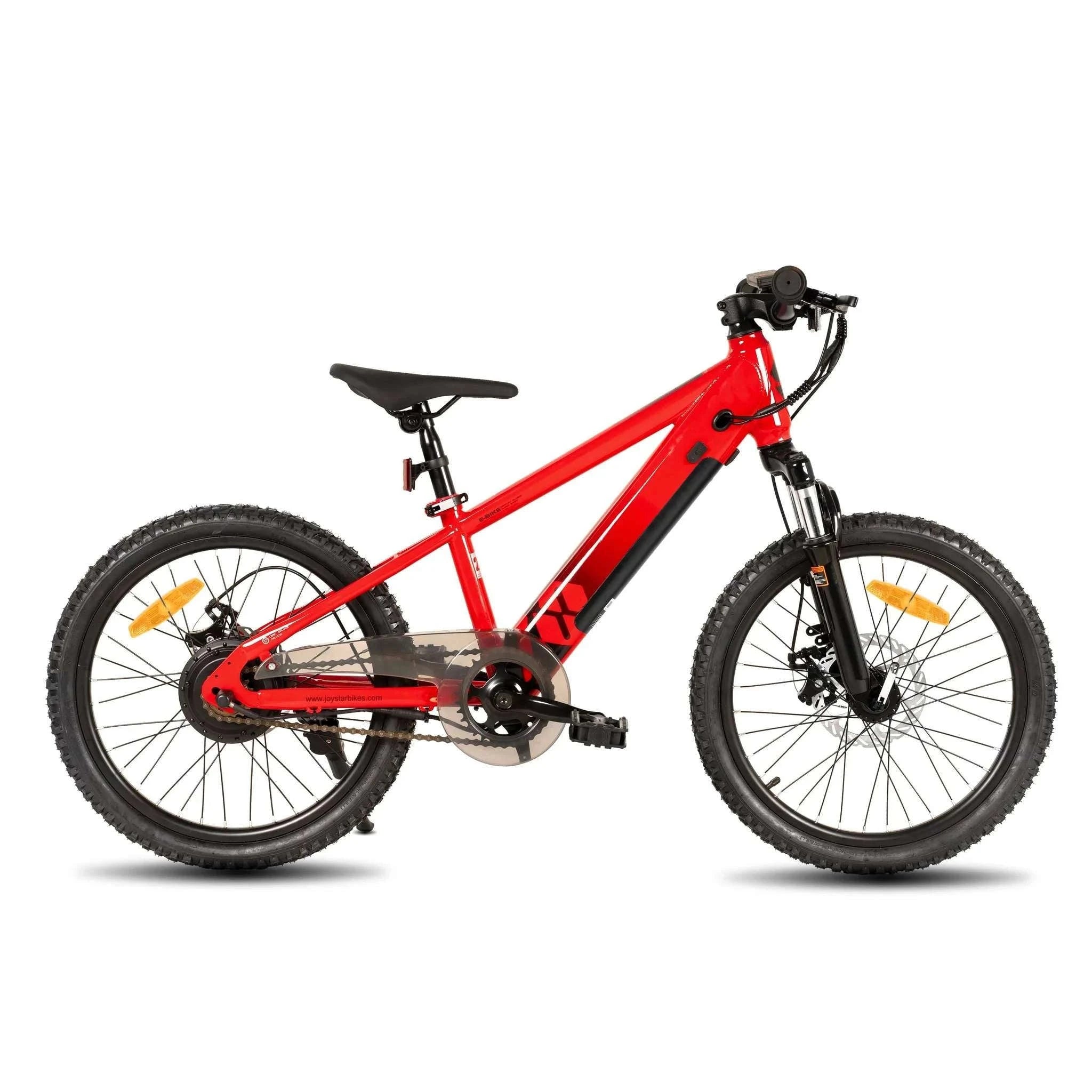 Kids Electric Bike 250W 15MPH 20" E-Bike for Ages 7+-Green / United States