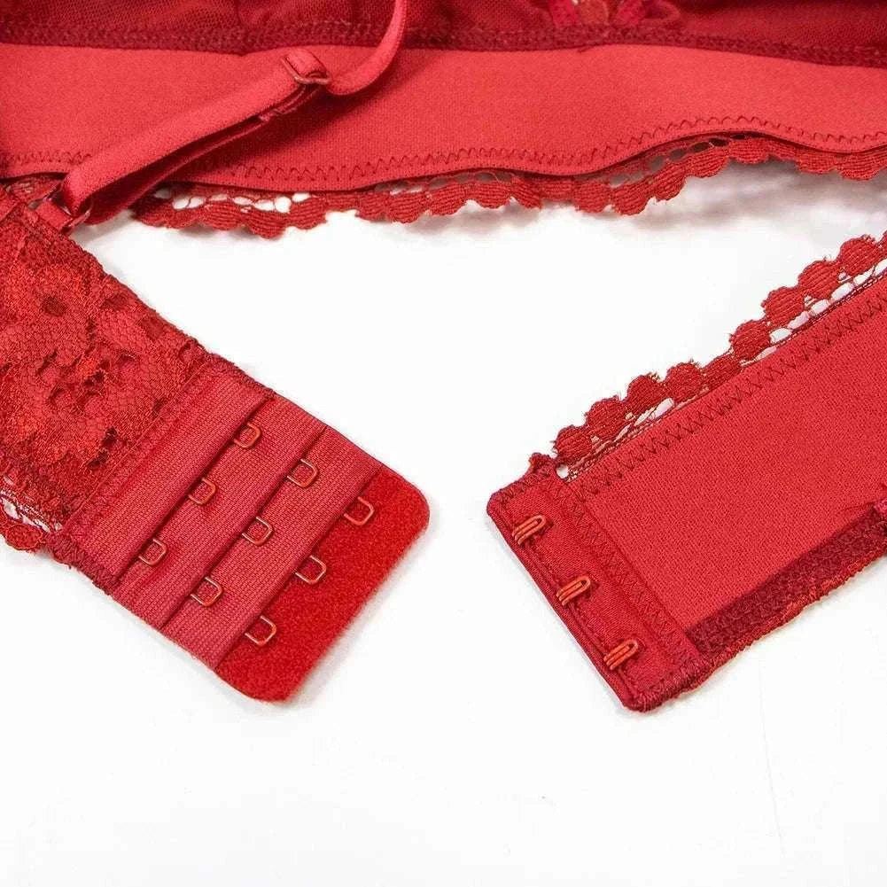 Lace Lingerie Set for Women with Bra, Panty, Garter & Stockings-Red / S