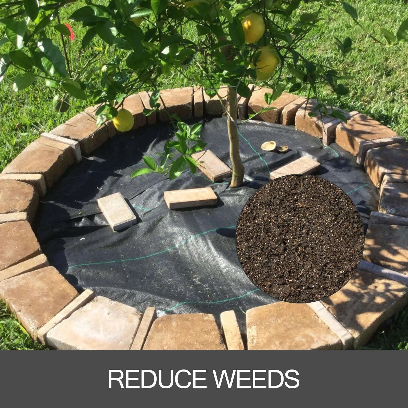 Landscape Fabric 6 ft x 300 ft Heavy Duty Weed Barrier-black / 6x300 feet / spain
