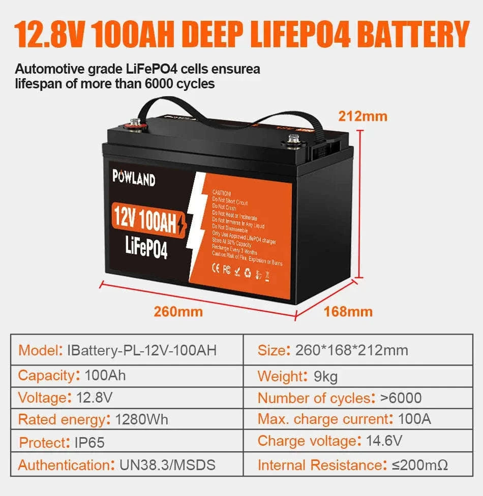 LiFePO4 Battery 12.8V or 25.6V 100Ah or 300Ah-PL-12V-100AH / Poland