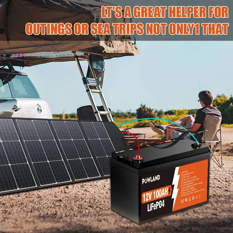 LiFePO4 Battery 12.8V or 25.6V 100Ah or 300Ah-PL-12V-100AH / Poland