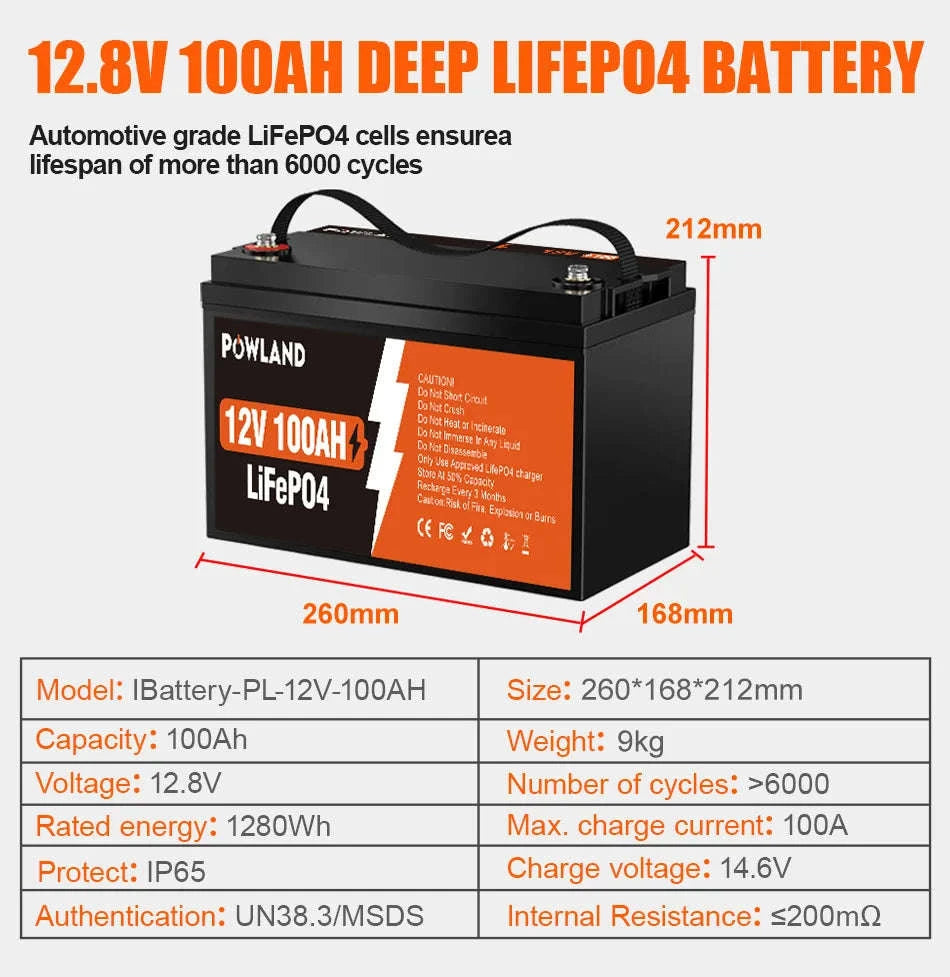 LiFePO4 Battery 12.8V or 25.6V 100Ah or 300Ah-PL-12V-100AH / Poland