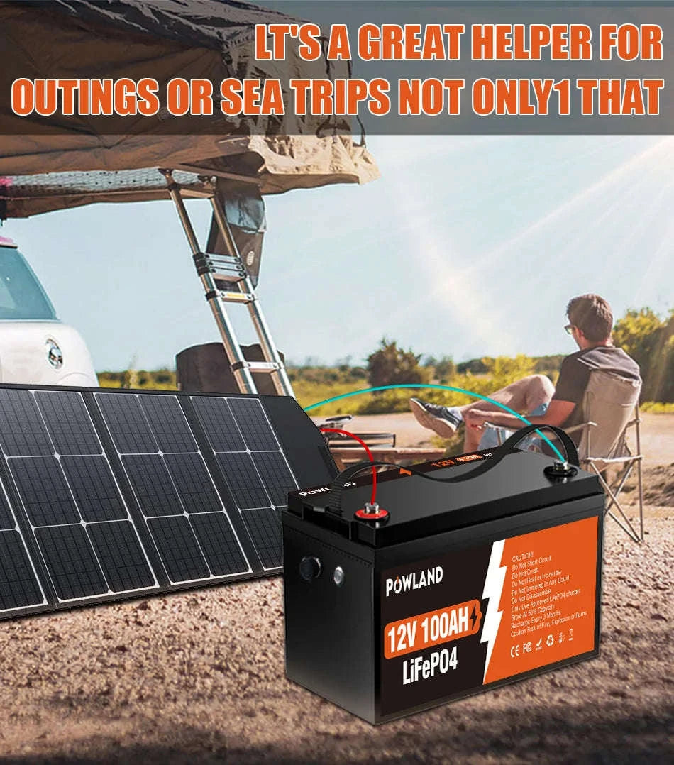LiFePO4 Battery 12.8V or 25.6V 100Ah or 300Ah-PL-12V-100AH / Poland