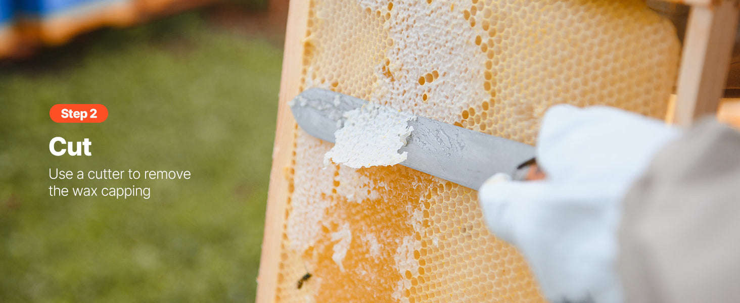 Manual Honey Extractor with Transparent Lid and Adjustable Stand-6 frames / Poland