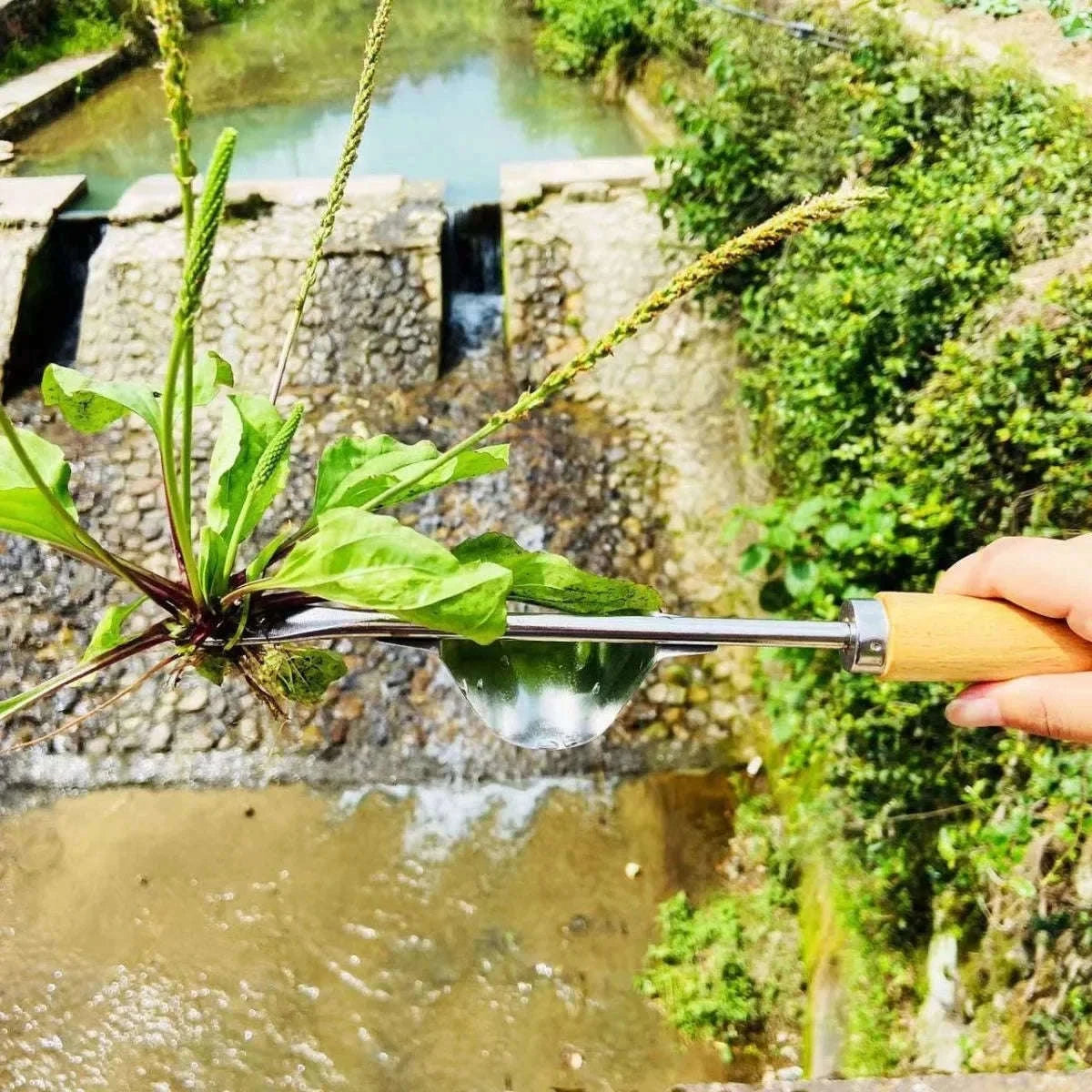 Manual Weeding Machine Set for Easy Outdoor Maintenance-L / B9489A / China Mainland