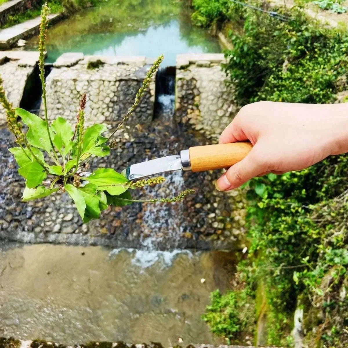 Manual Weeding Tool Set for Easy Garden and Pathway Cleanup-L / B9489A / China Mainland