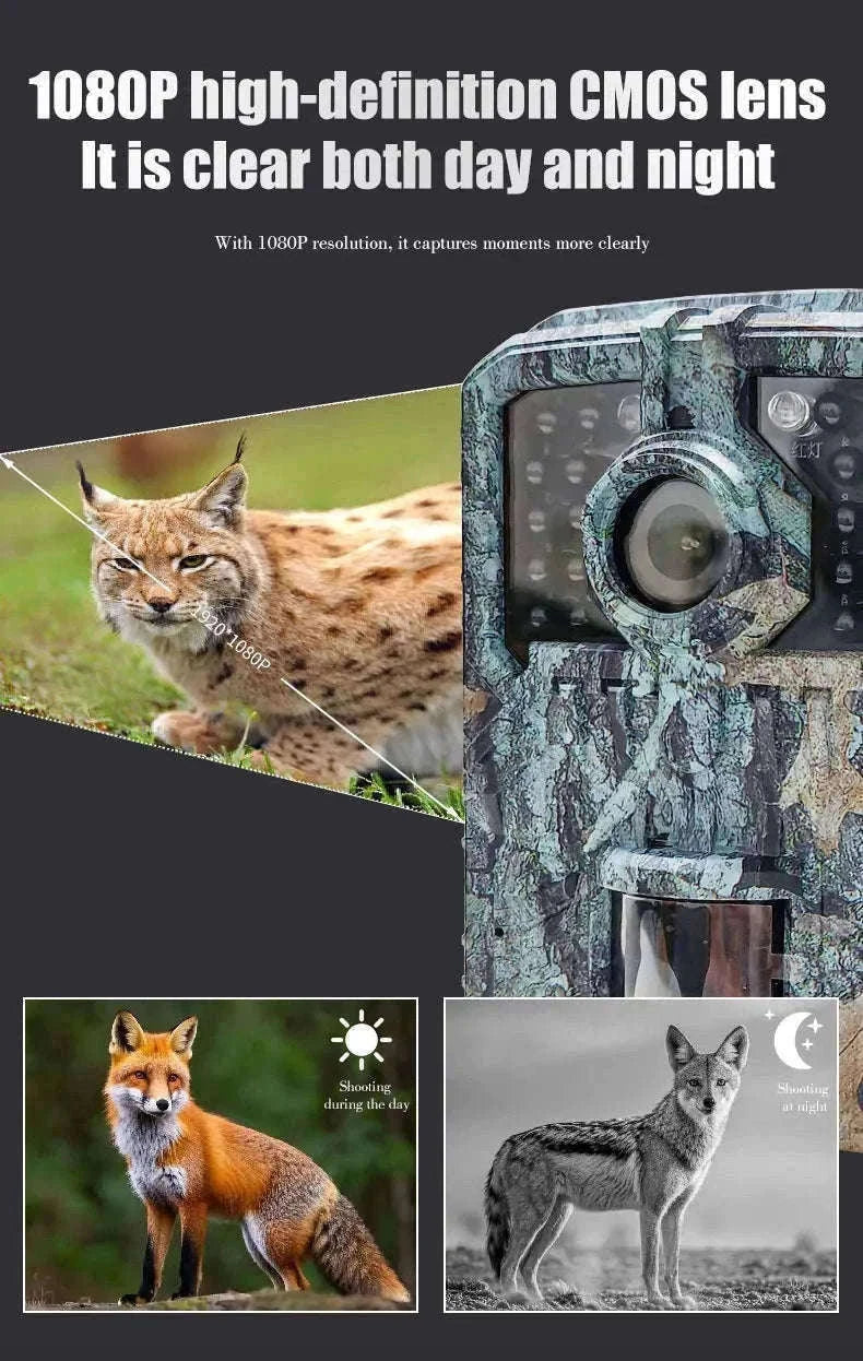 Mini Trail Camera 1080P Night Vision Wildlife Hunting Camera-DL003 None card