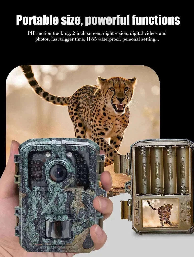 Mini Trail Camera 1080P Night Vision Wildlife Hunting Camera-DL003 None card