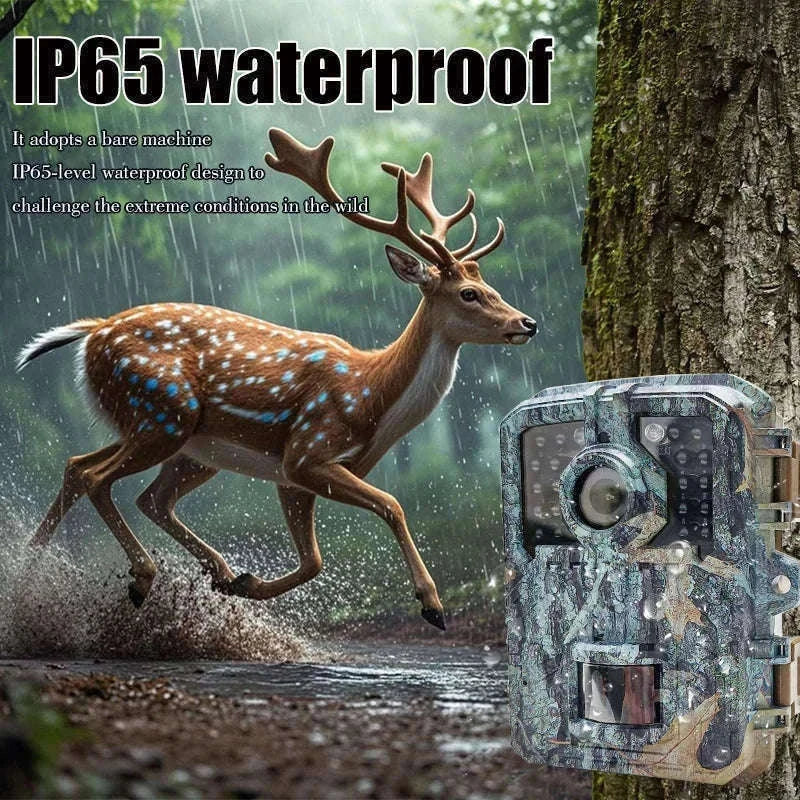 Mini Trail Camera 1080P Night Vision Wildlife Hunting Camera-DL003 None card