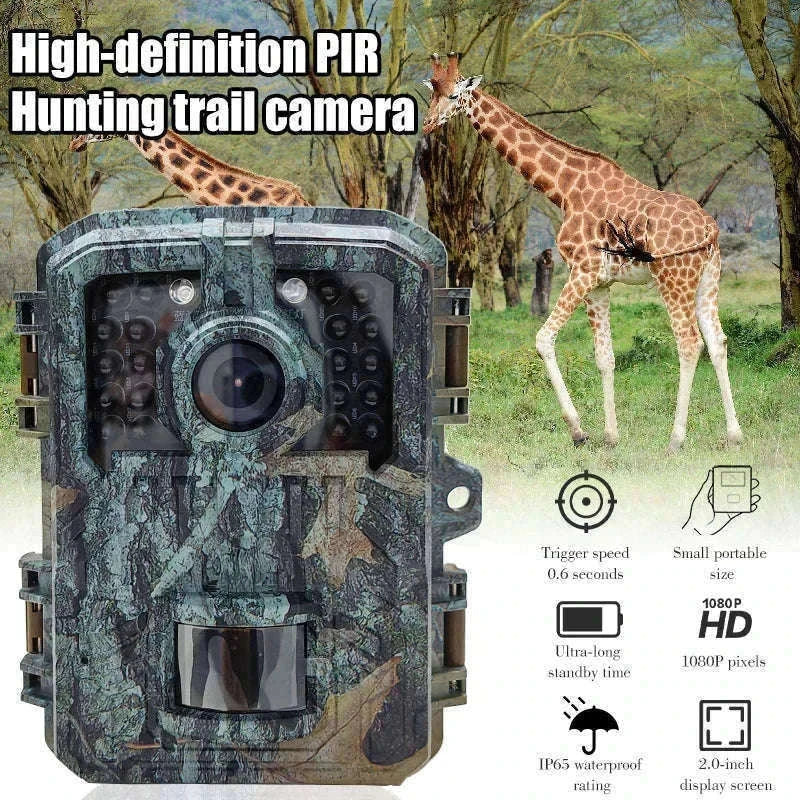 Mini Trail Camera 1080P Night Vision Wildlife Hunting Camera-DL003 None card