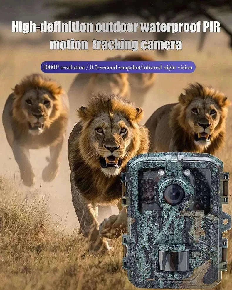 Mini Trail Camera 1080P Night Vision Wildlife Hunting Camera-DL003 None card