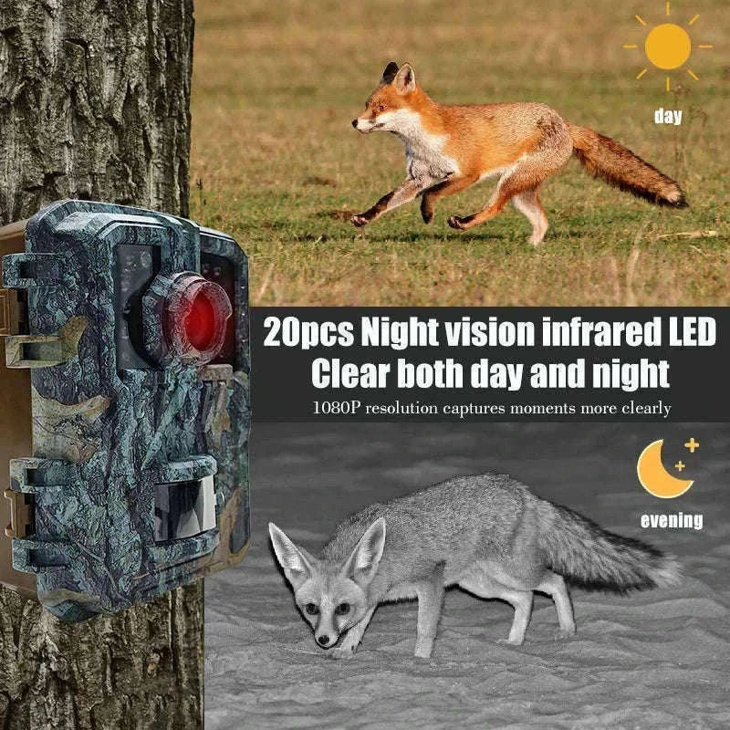 Mini Trail Camera 1080P Night Vision Wildlife Hunting Camera-DL003 None card