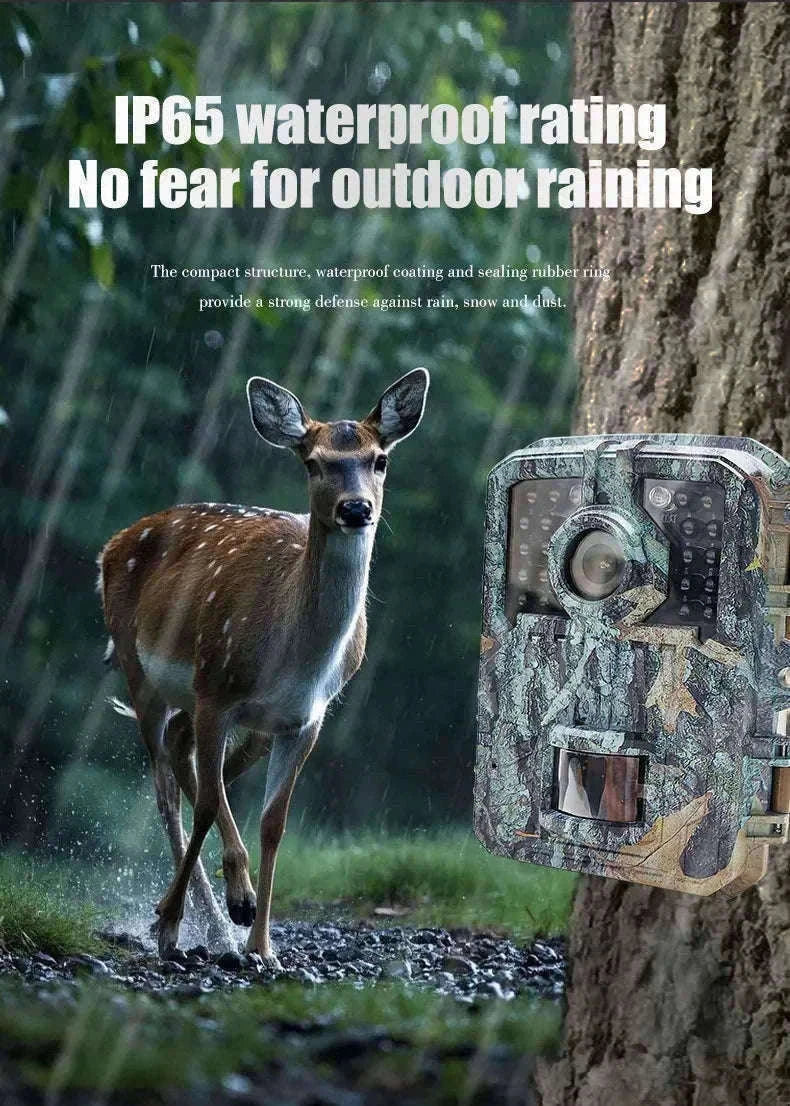 Mini Trail Camera 1080P Night Vision Wildlife Hunting Camera-DL003 None card