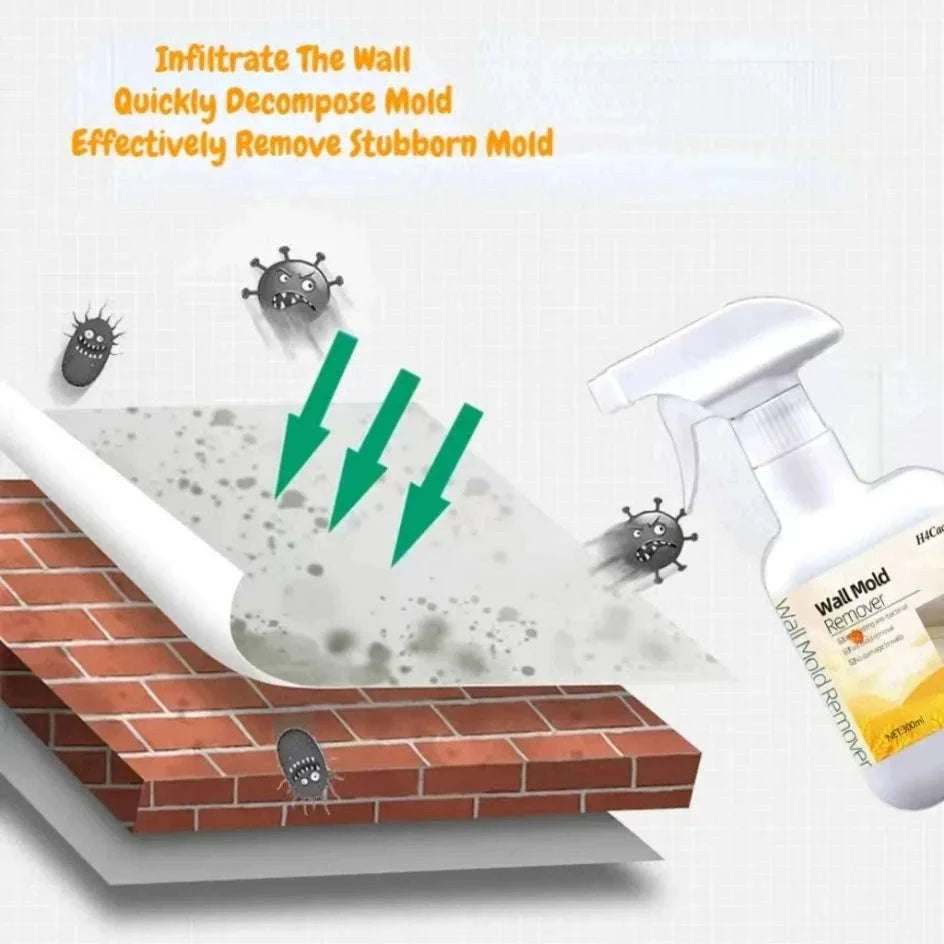 Mold Remover Spray for Walls, Tiles, Sinks & Bathroom Mildew-China Mainland / 300ml