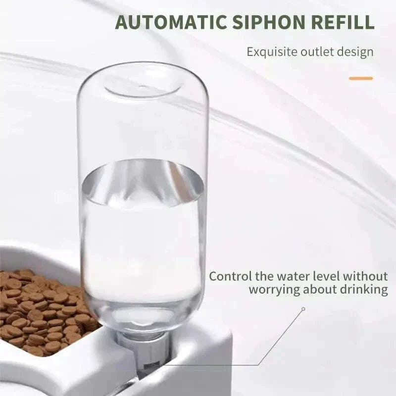 Multi-Functional Pet Bowl-M