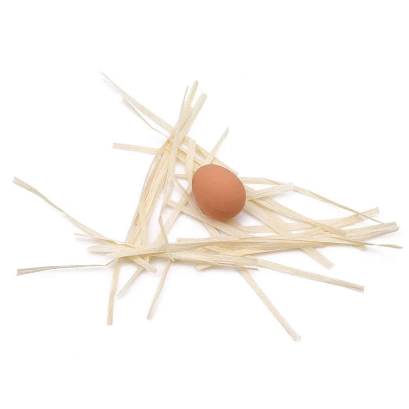 Novelty Bouncy Egg Rubber Toy – Realistic Farm Hatching Egg-Default Title