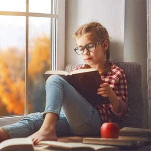 One Way Window Film Mirror Effect Tint for Home & Office-Silver / 40x300cm