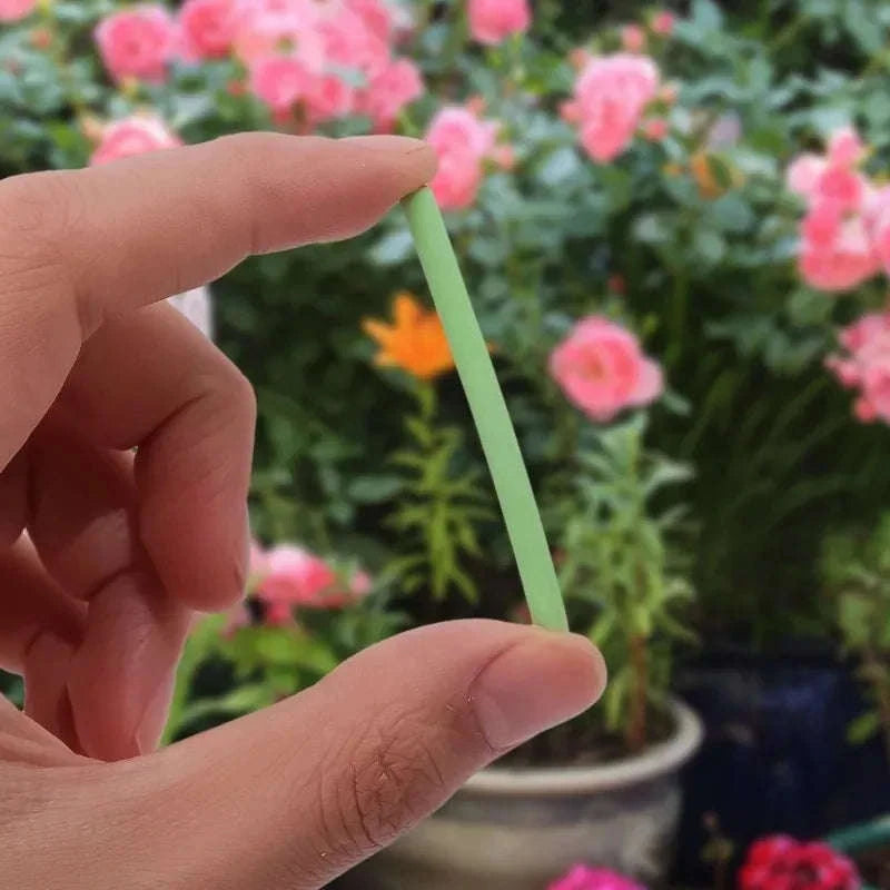 Plant Slow‑Release Nutrient Sticks for Indoor Potted Plants-B-30PCS