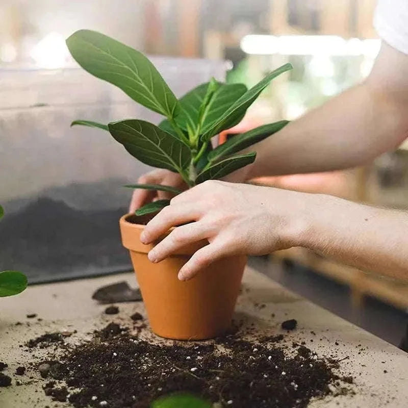Plant Slow-Release Nutrient Sticks for Indoor Potted Plants-B-30PCS