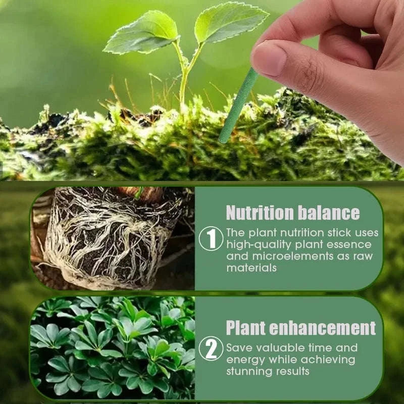 Plant Slow‑Release Nutrient Sticks for Indoor Potted Plants-B-30PCS