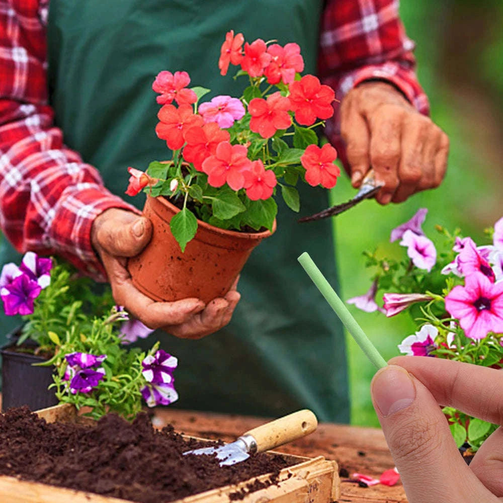 Plant Slow‑Release Nutrient Sticks for Indoor Potted Plants-B-30PCS