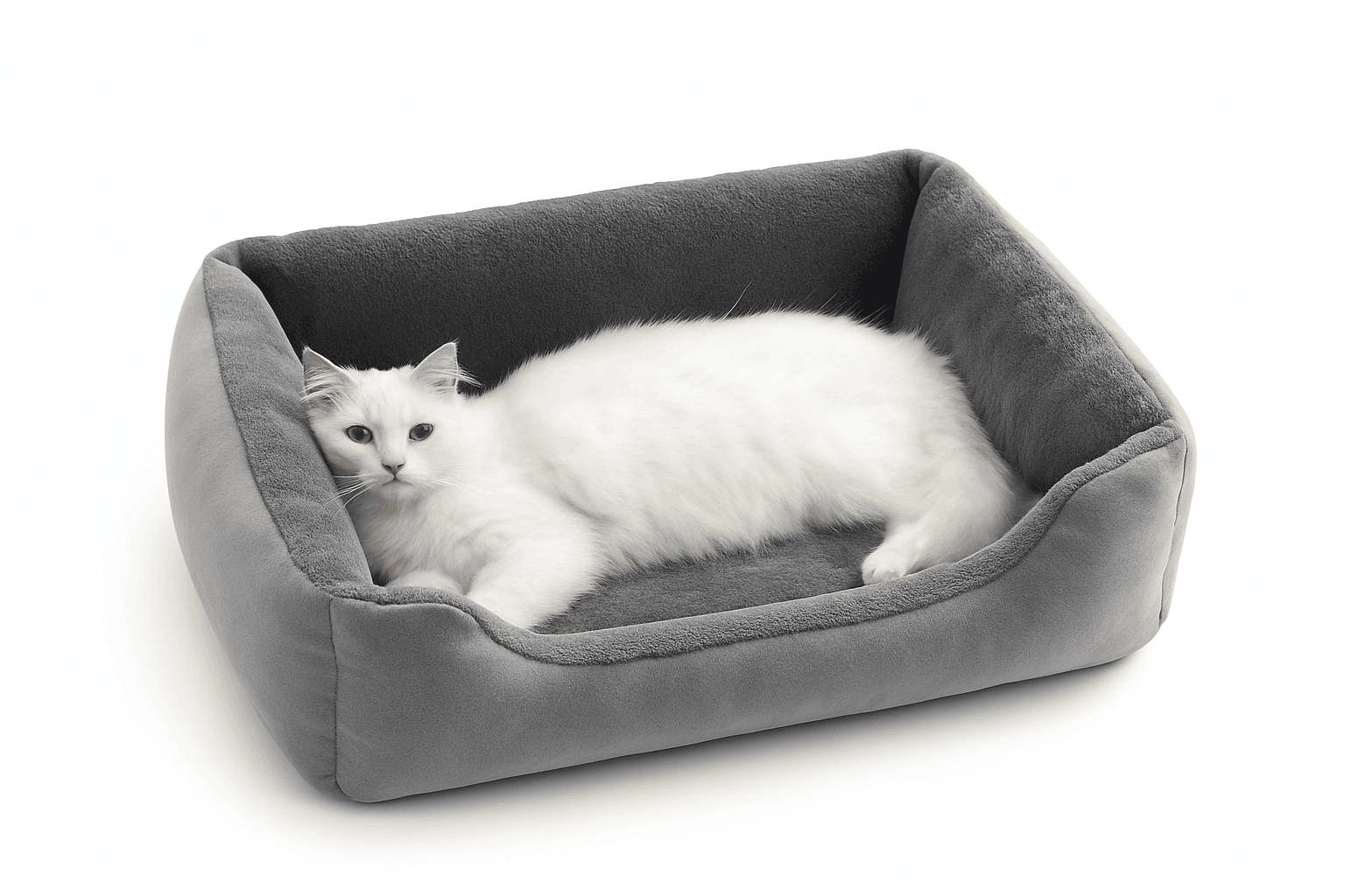 Plush Cat Bed & Mat for Cozy, Supportive Everyday Rest-Pink / XXL 80x60cm