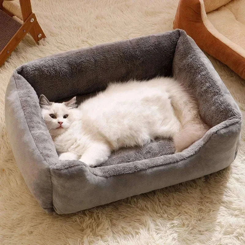 Plush Cat Bed & Mat for Cozy, Supportive Everyday Rest-Pink / XXL 80x60cm