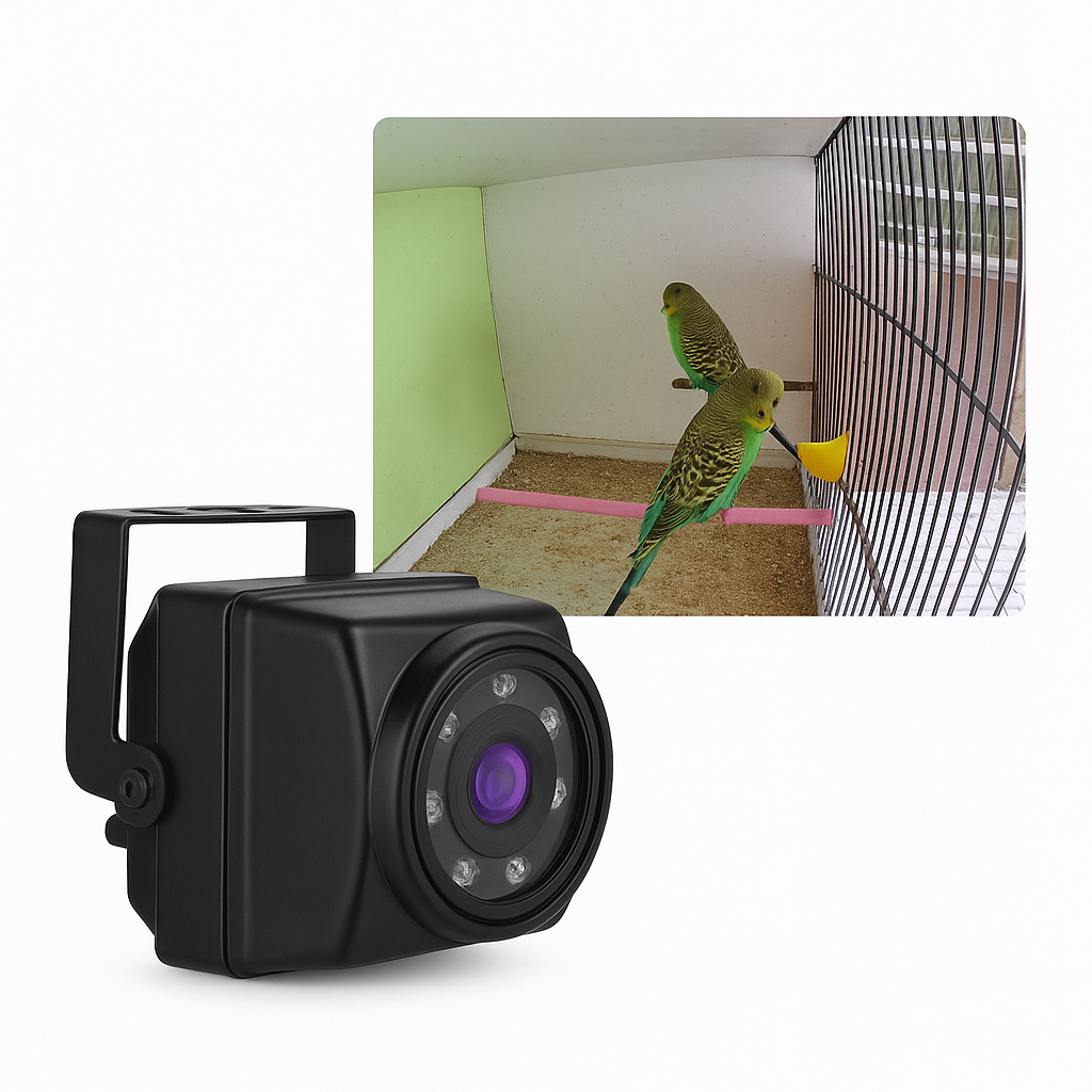 4K 8MP POE Bird Box Camera with Audio, Night Vision, RTMP, P2P