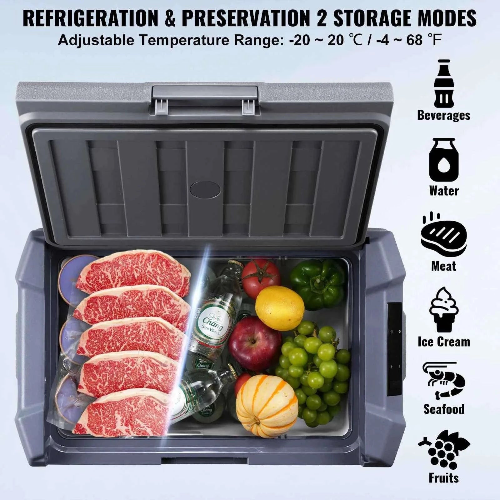 Portable Car Refrigerator Freezer with Built-in Light-NL40 / United Kingdom