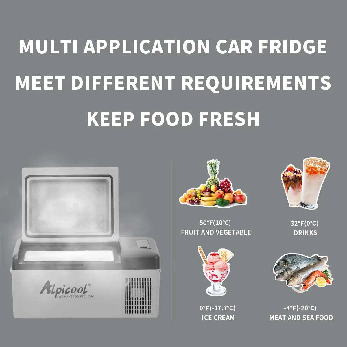 Portable Compressor Fridge Freezer 20L for Car and Home-GRAY / Germany