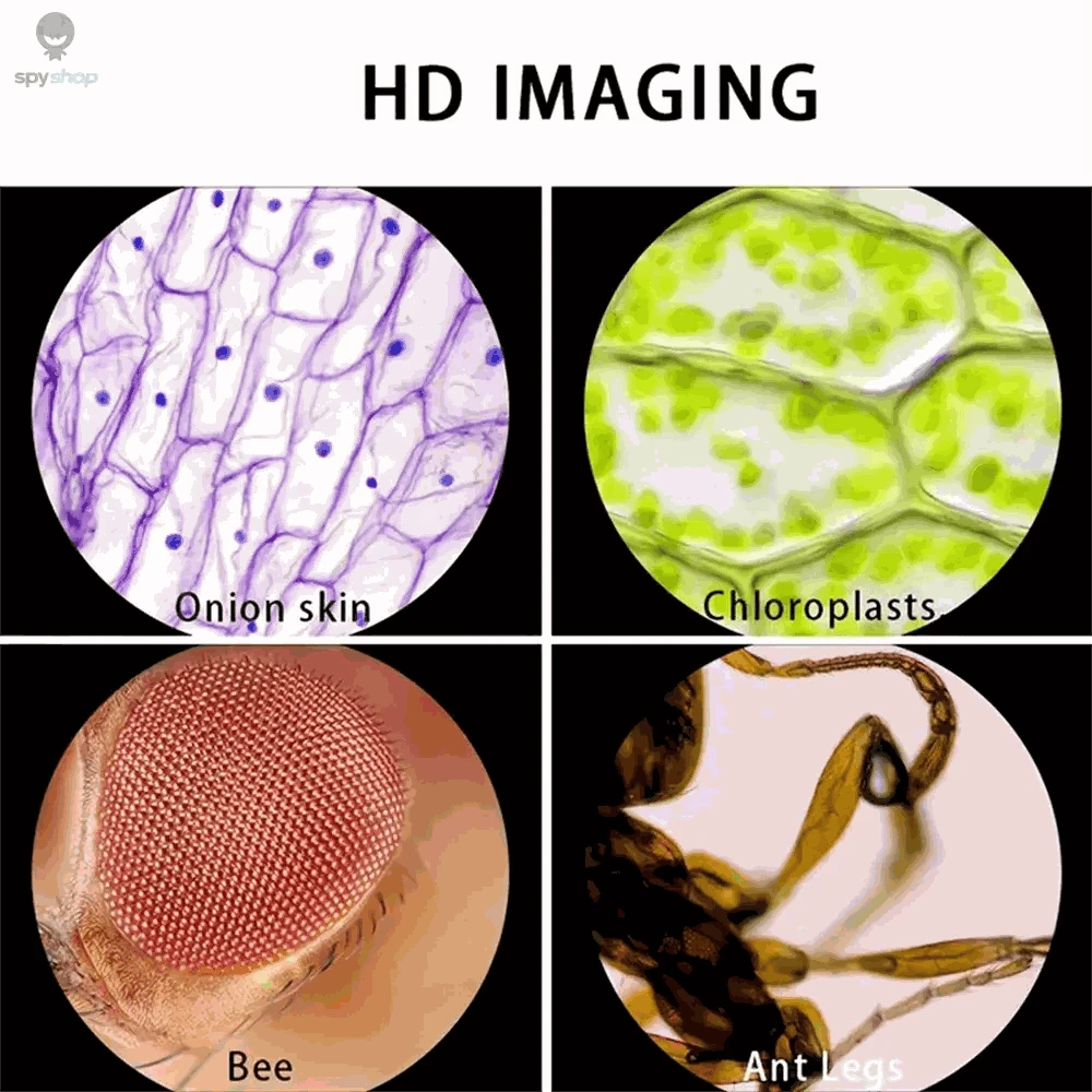 Portable Handheld Microscope 60–120X Zoom with LED Light-