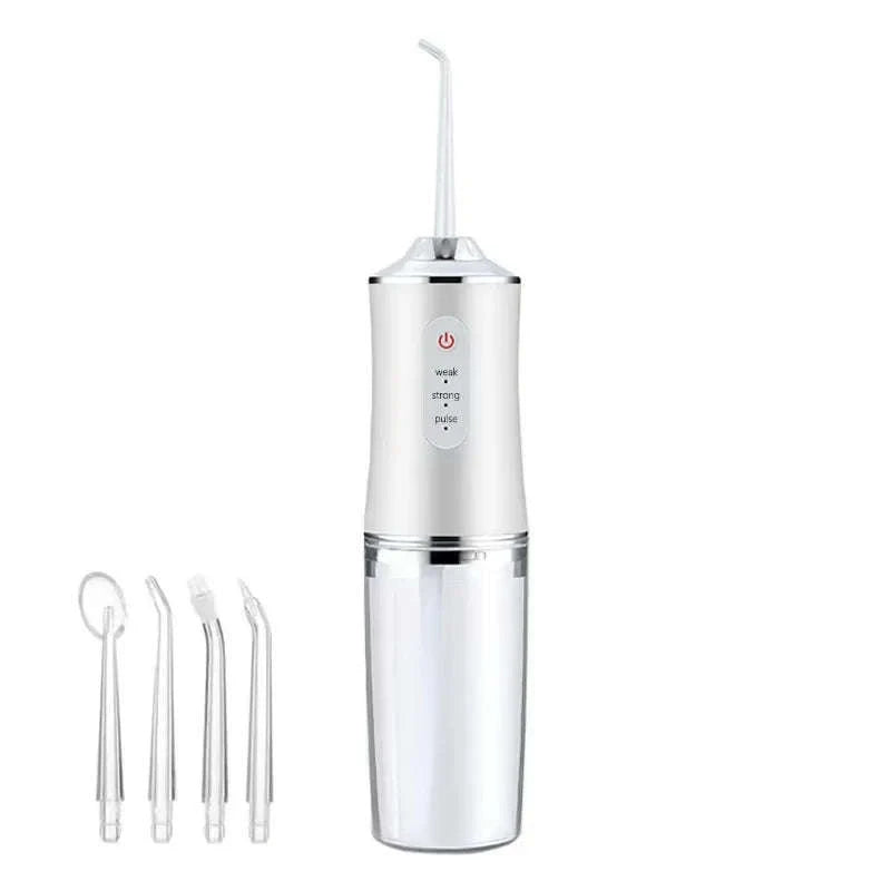 Portable Oral Irrigator Water Flosser with 4 Nozzles & Modes-Pink / United States
