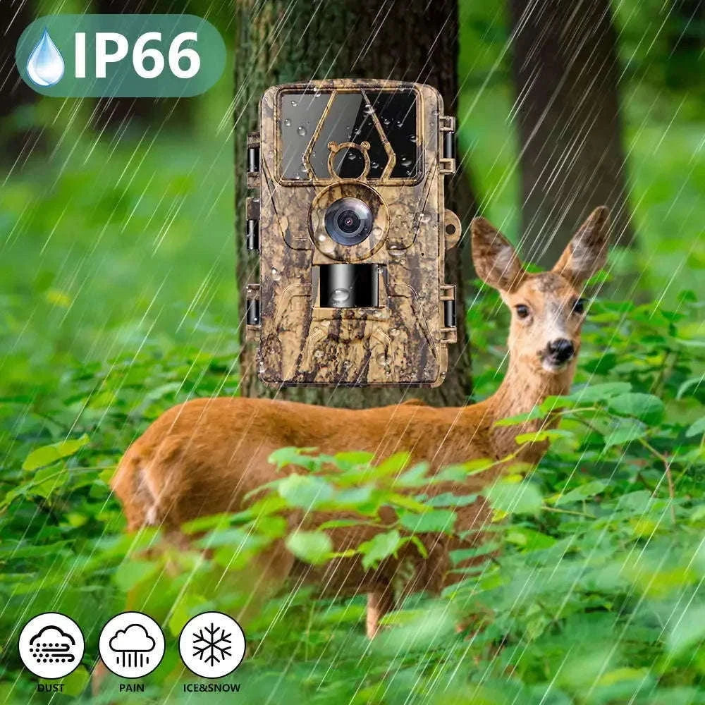 PR801W 8K WiFi Trail Camera with 60MP Night Vision-add 32GB / China Mainland