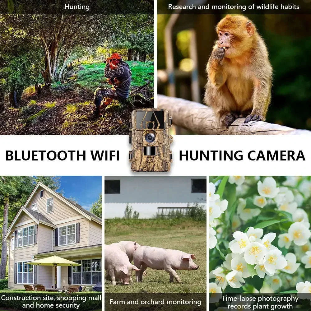 PR801W 8K WiFi Trail Camera with 60MP Night Vision-add 32GB / China Mainland