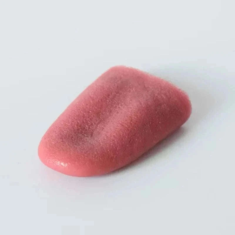 Prank Snake Toy in Potato Chip Can for Surprise Laughter-1pc-11cm X 5cm