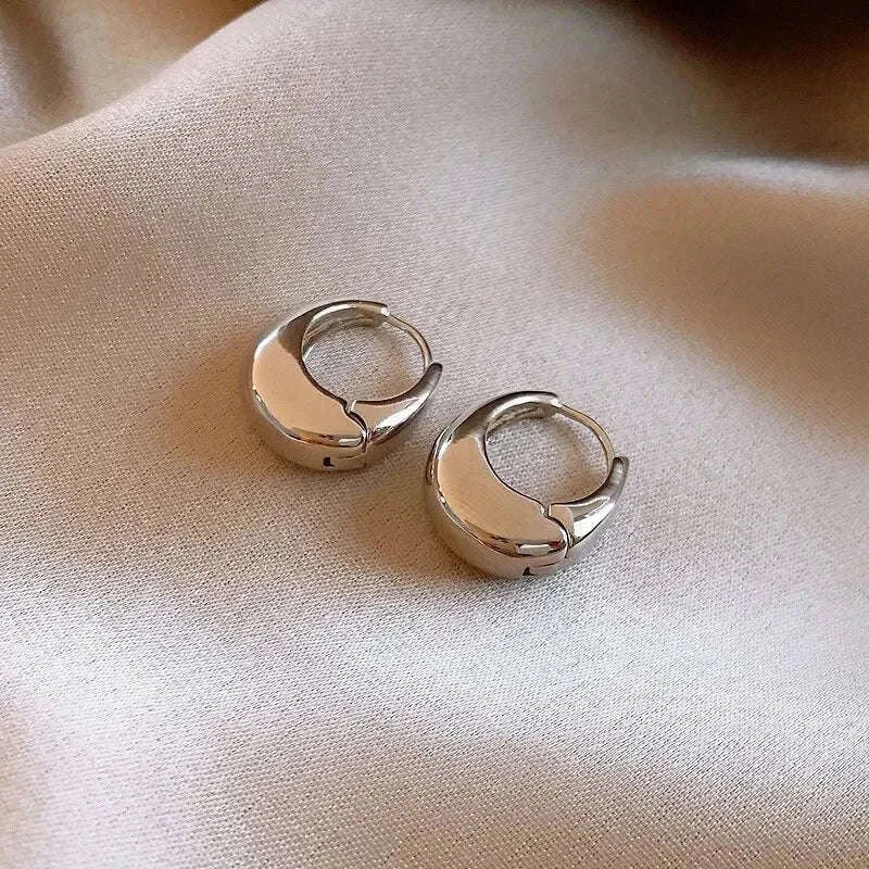 Punk Oval Hoop Earrings in Minimalist Metallic Style-661864