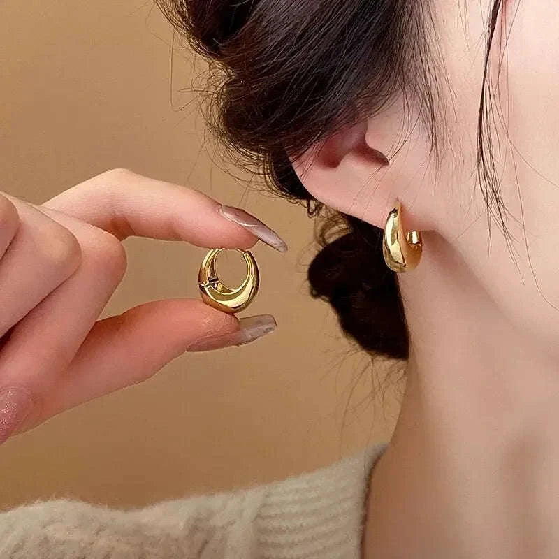 Punk Oval Hoop Earrings in Minimalist Metallic Style-661864