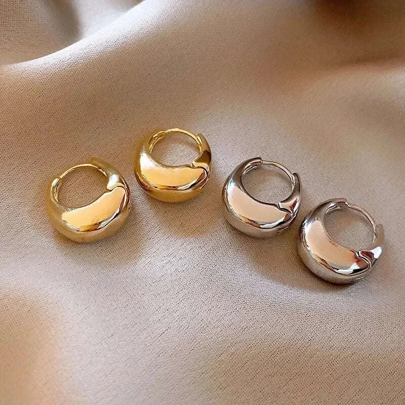 Punk Oval Hoop Earrings in Minimalist Metallic Style-661864