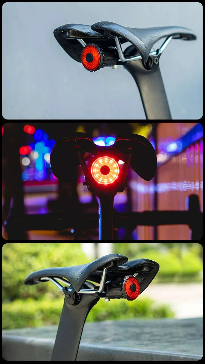 Rechargeable Bike Tail Light with Brake Sensing & 7 Modes-WR05