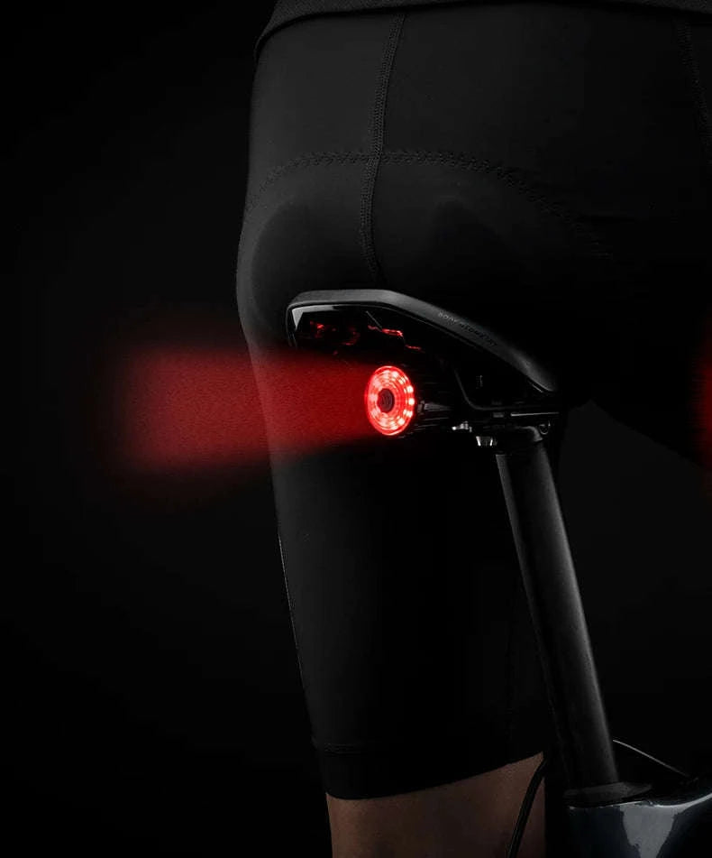 Rechargeable Bike Tail Light with Brake Sensing & 7 Modes-WR05