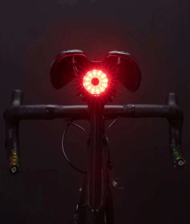Rechargeable Bike Tail Light with Brake Sensing & 7 Modes-WR05