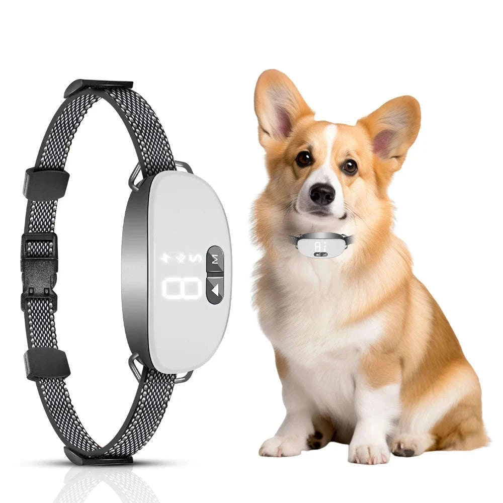 Rechargeable Smart Dog Bark Collar with 5 Sensitivity Levels-WHITE