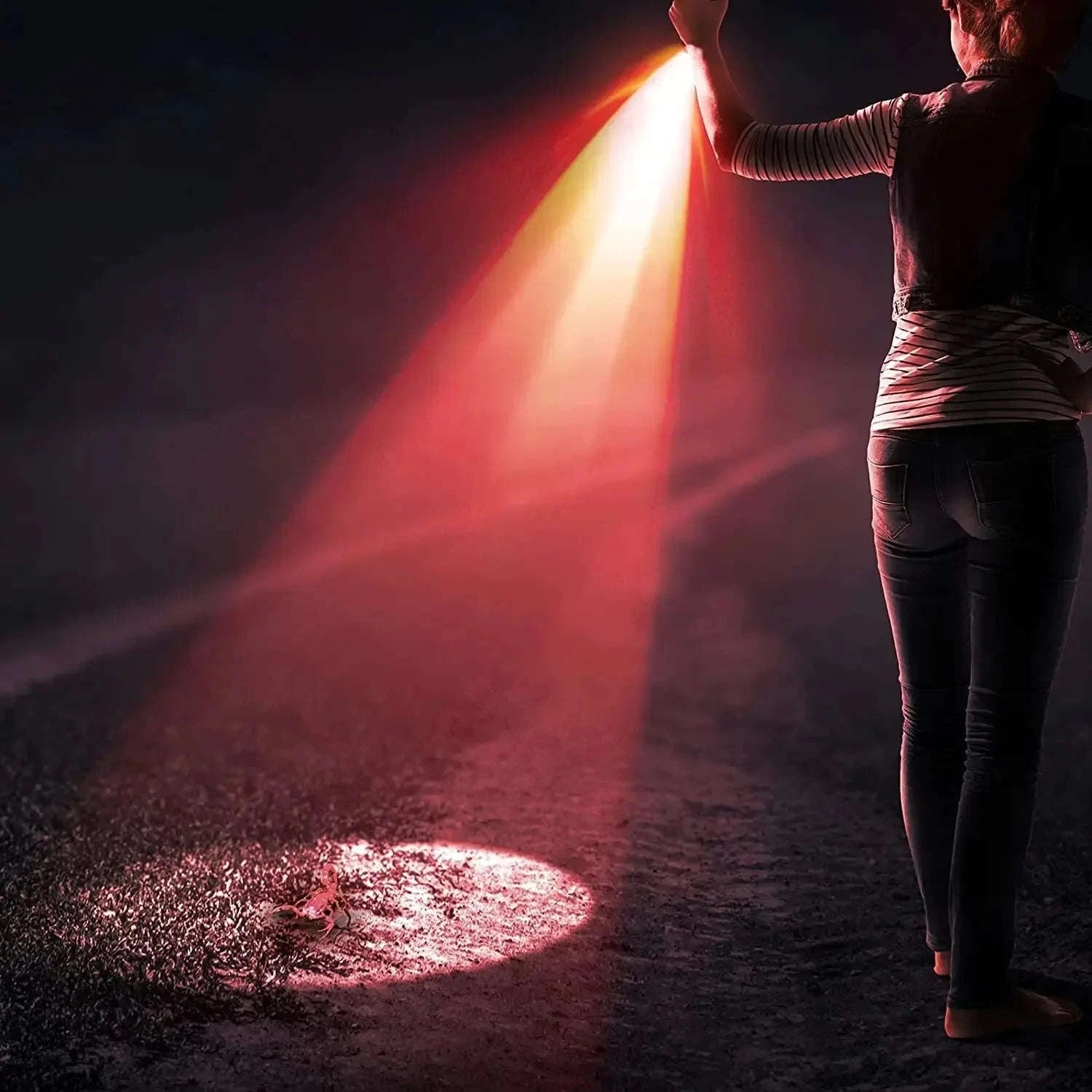 Red Light Penlight Flashlight for Night Observation and Outdoor Use-702 red lgiht / Black / AAA